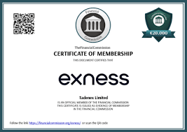 Comprehensive Guide on Exness App Download Trade Smarter Comprehensive Guide on Exness App Download Trade Smarter